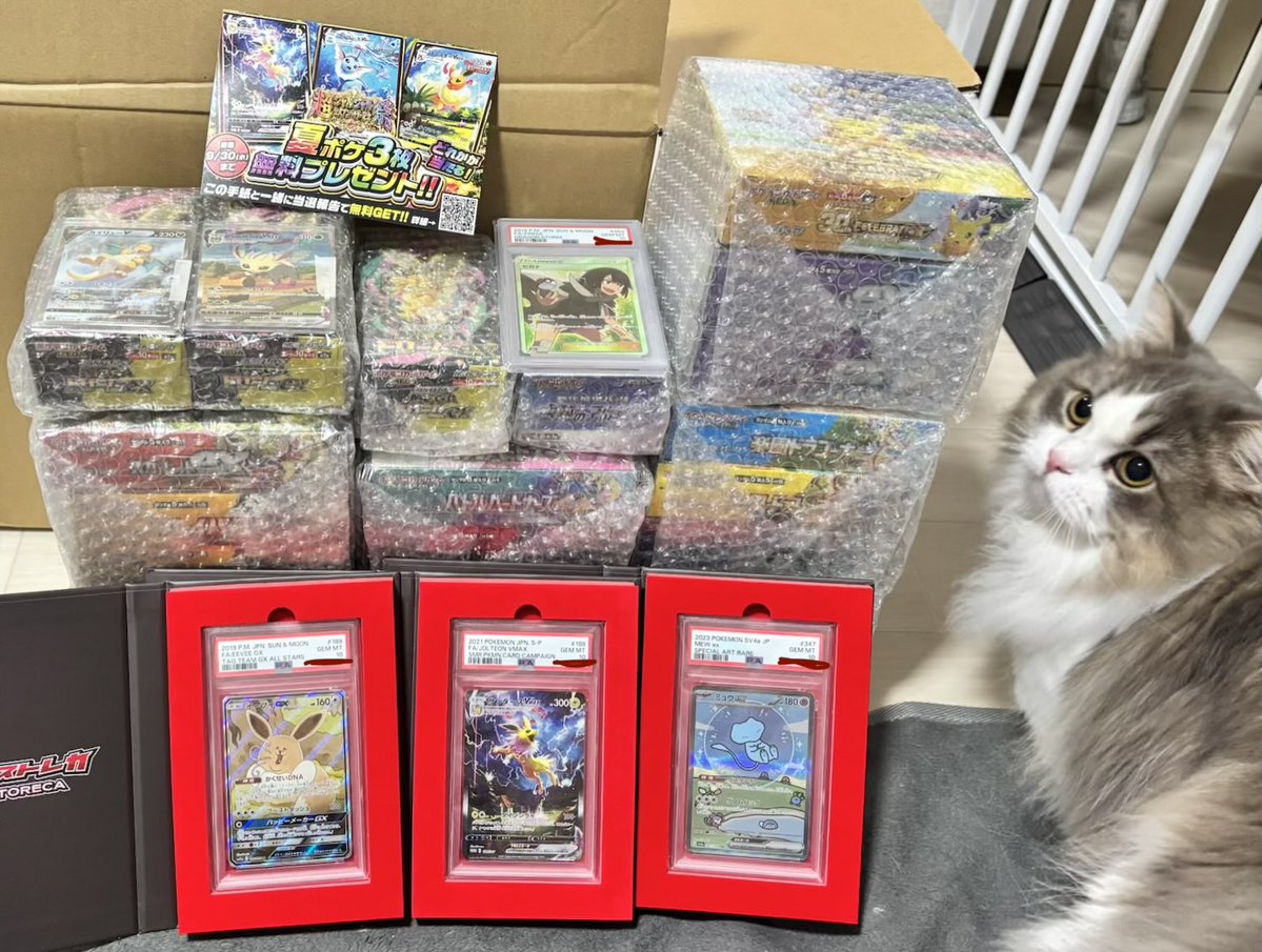 acccfftja_arora's tweet photo. 夏ポケカ初所持！！
防湿庫買って飾らないと🐱
ブラッキーと30thbox届くのも楽しみ
エクストレカ（＠extoreca）さん
#エクストレカ当選報告 https://t.co/zwOETsTLPB