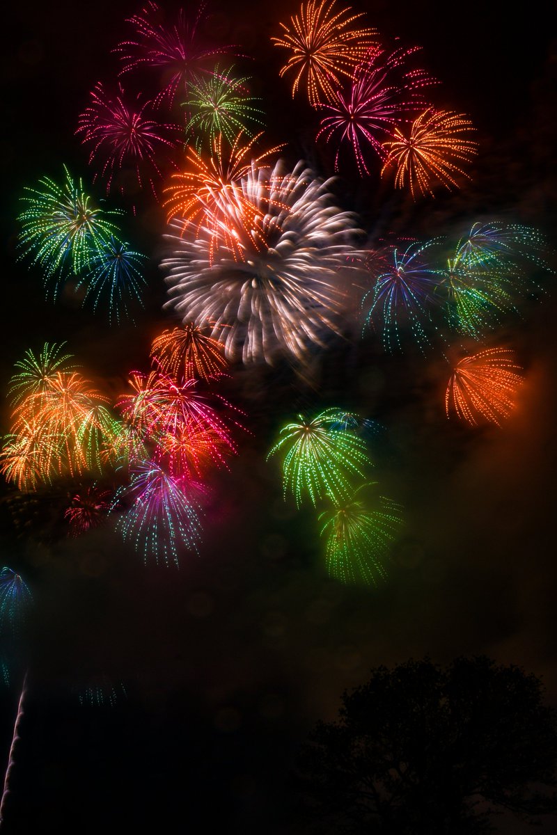 koendon_LLLD's tweet photo. 昨日の地元クソデカ花火大会🎆
長らくカメラ触ってなかったらちゃんと下手っぴになってたな🥲
明日のロッキン台風で中止になってムシャクシャしてるから久々に歌舞伎町に現れようかしら🍻🍻🍻 https://t.co/TLYd86Sm8U