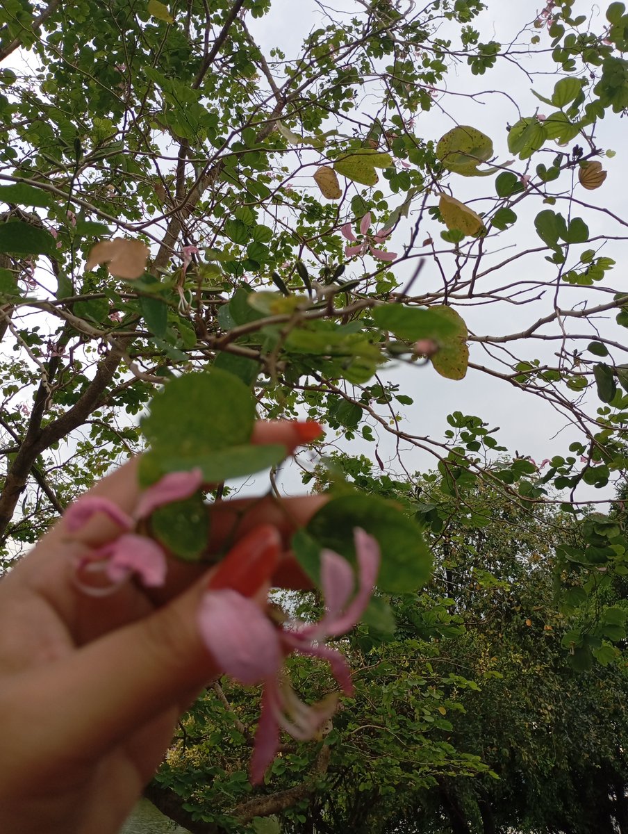 XuexueW33441's tweet photo. ဘေးအိမ်က အဘွားက ပြောနေတာ 
Result က ဘယ်လောက်ဖြစ်ဖြစ် စိတ်မကောင်းဖြစ်စရာမလိုဘူးတဲ့ ကြိုးစားလို့ရတဲ့ အချိန် အစွမ်ကုန် ကြိုးစားပြီး ဂုဏ်ယူနေတယ် အစွမ်းကုန် ဖိုက်ကြစို့ lettttt goooooo 

#YouManiacSeriesEP4 https://t.co/b5VaTg6rw5