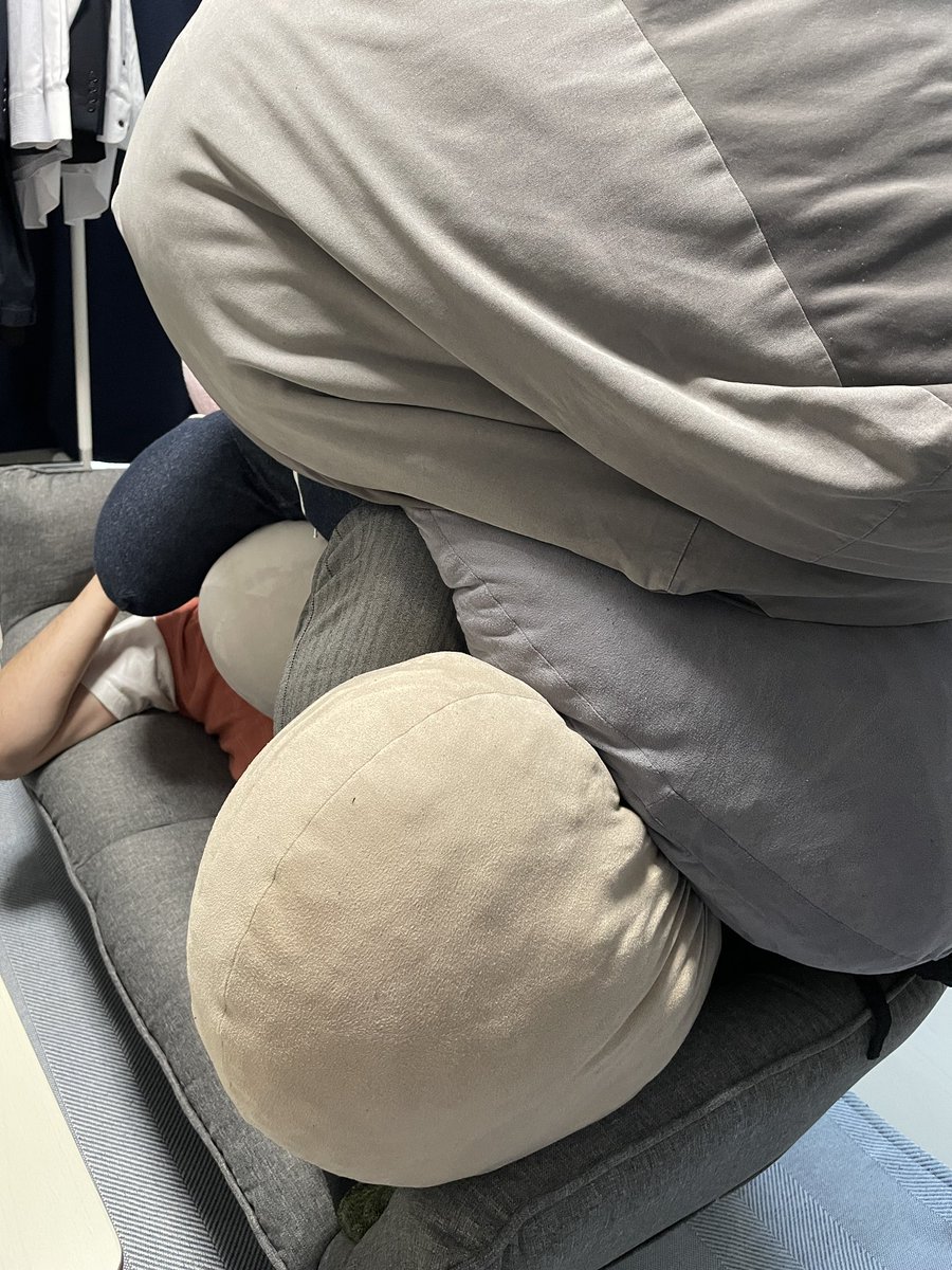 miii_____u's tweet photo. 掃除機かけるのに邪魔なものたちをソファの上に追いやる https://t.co/huYSpubTAN