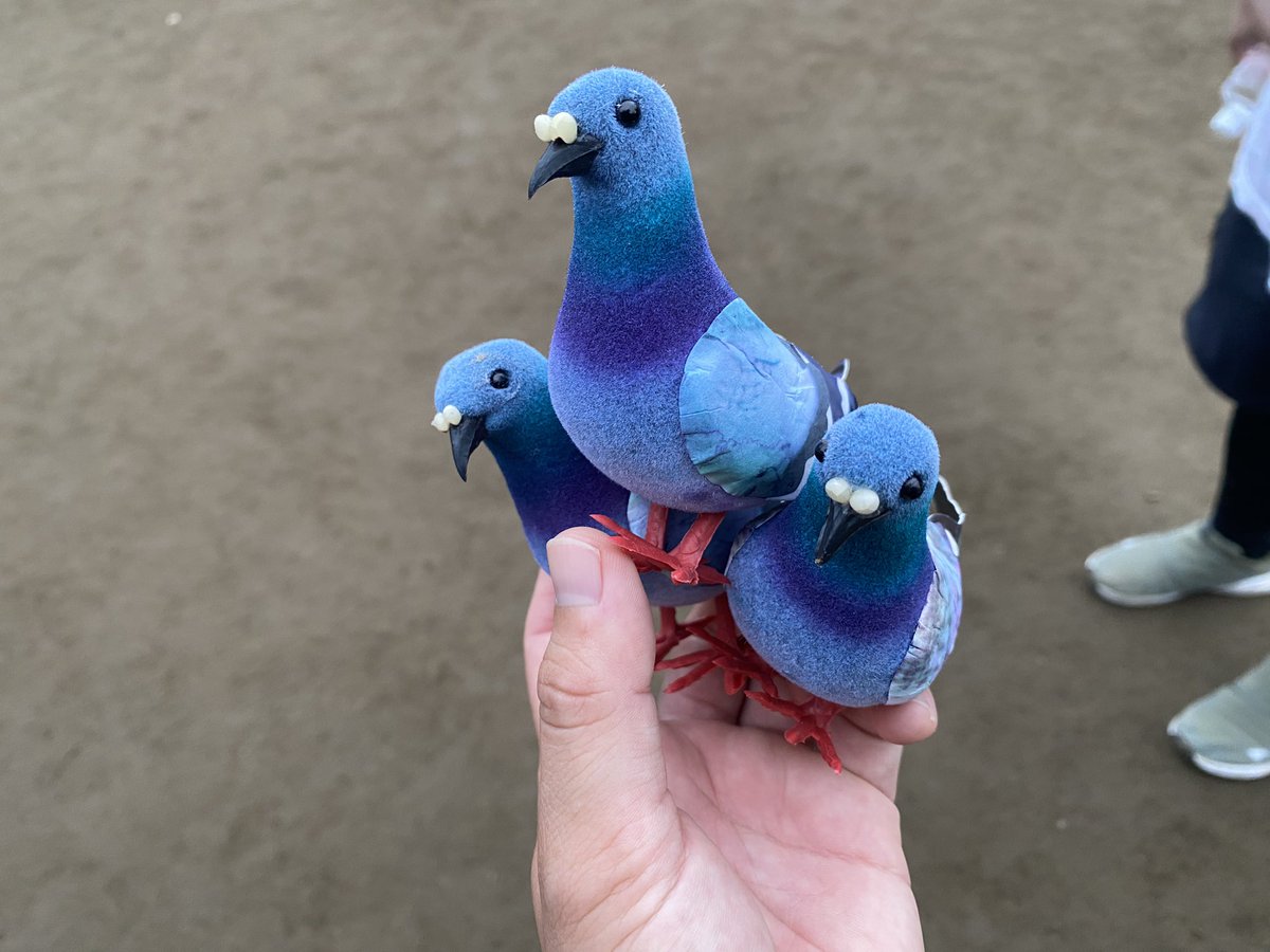 kojinko_'s tweet photo. アニエラ、鳥の詩で泣きアニメ

鳥持ってきてよかった https://t.co/CyBU7DyirM