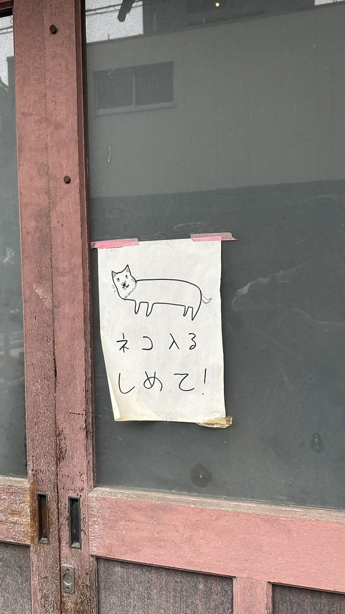 sunaaji's tweet photo. またネコ入るしめて見に来た https://t.co/oSLw4UkBFl