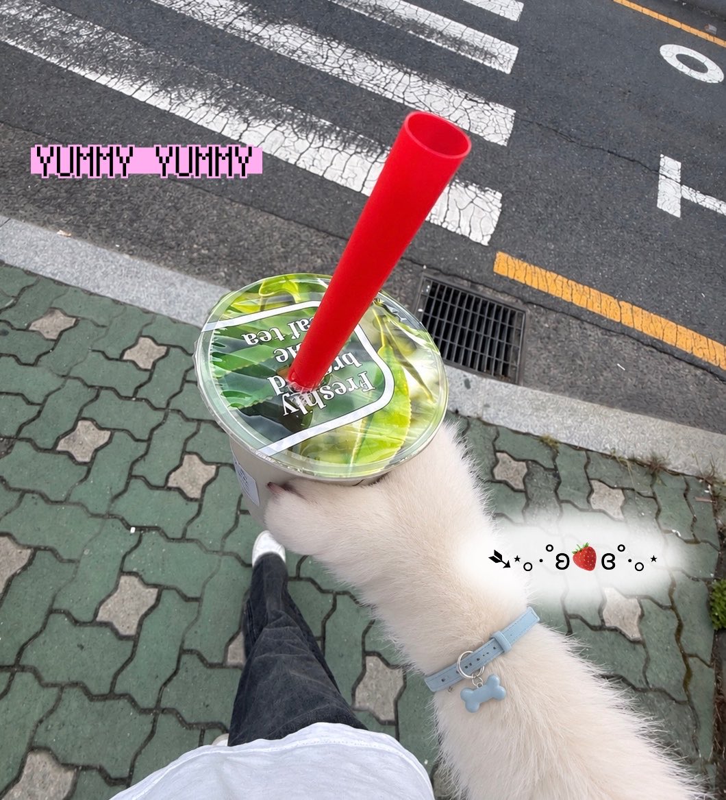 mzz__ng's tweet photo. 기분이   에바뛰뛰라서 
또   버블티호롤로 했어욤 .. 🎀𓂃♡🍓 https://t.co/PB3PzfnfBE