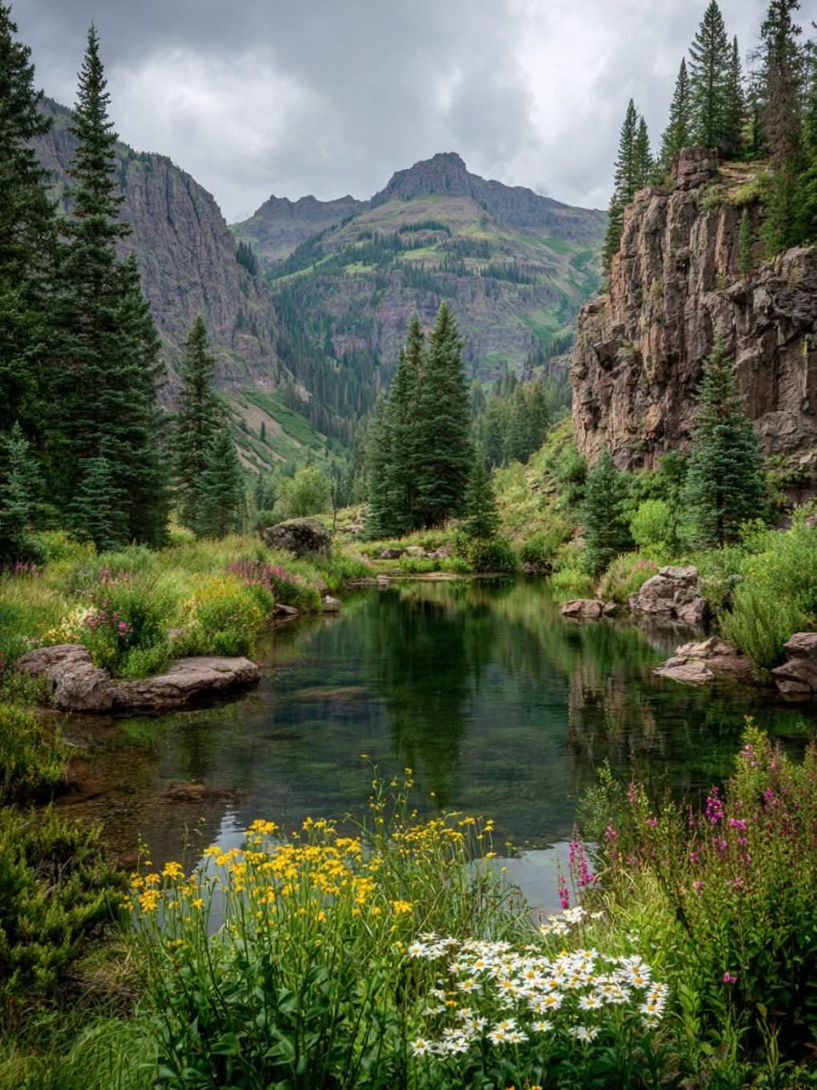 worldclick56's tweet photo. Finding calm in nature's beauty 🍃 https://t.co/kUIVcAy0TS