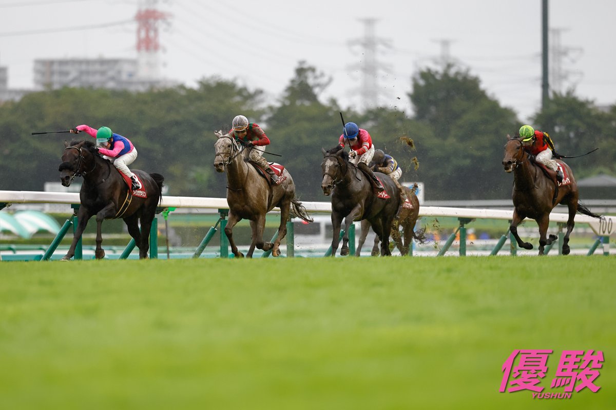 YUSHUN_Magazine's tweet photo. 第72回 #オールカマー は９番人気の #メイショウゲキリン が先手を奪い、キャントウェイトの猛追をハナ差抑えました。１番人気のレガレイラは４着。
芝2200ｍの勝ちタイムは２分16秒９、上り３ハロン37秒１(重馬場)。
通算成績33戦５勝、前走は障害未勝利戦６着。
３回目の挑戦で重賞初勝利。これまでの最高着順はきさらぎ賞３着。
父キズナ、母メイショウスズラン(父キングカメハメハ)。
 #田辺裕信 騎手は2013年(ヴェルデグリーン)以来のオールカマー勝利で通算２勝目。ＪＲＡ重賞レースは新潟２歳Ｓ(レッチュベルク)以来の勝利で本年５勝目、通算51勝目。
 #笹田和秀 調教師は管理馬初出走でオールカマー初勝利。2019年フィリーズレビュー(ノーワン)以来のＪＲＡ重賞勝利で通算10勝目。
#キズナ 産駒は本年出走の３頭を含む産駒延べ７頭の出走でオールカマー初勝利。ＪＲＡ重賞レースは前週のローズＳ(モンローウォーク)に続く勝利で本年８勝目、通算57勝目。