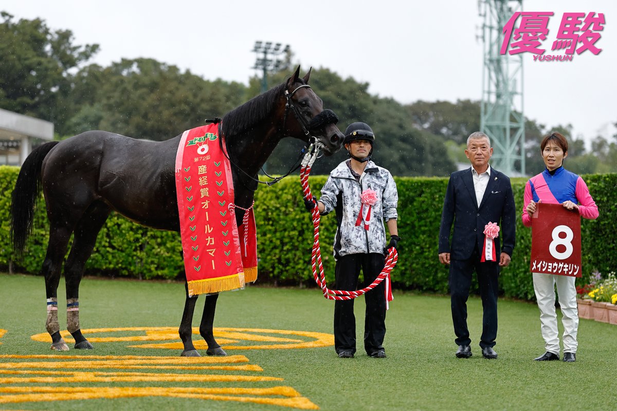 YUSHUN_Magazine's tweet photo. 第72回 #オールカマー は９番人気の #メイショウゲキリン が先手を奪い、キャントウェイトの猛追をハナ差抑えました。１番人気のレガレイラは４着。
芝2200ｍの勝ちタイムは２分16秒９、上り３ハロン37秒１(重馬場)。
通算成績33戦５勝、前走は障害未勝利戦６着。
３回目の挑戦で重賞初勝利。これまでの最高着順はきさらぎ賞３着。
父キズナ、母メイショウスズラン(父キングカメハメハ)。
 #田辺裕信 騎手は2013年(ヴェルデグリーン)以来のオールカマー勝利で通算２勝目。ＪＲＡ重賞レースは新潟２歳Ｓ(レッチュベルク)以来の勝利で本年５勝目、通算51勝目。
 #笹田和秀 調教師は管理馬初出走でオールカマー初勝利。2019年フィリーズレビュー(ノーワン)以来のＪＲＡ重賞勝利で通算10勝目。
#キズナ 産駒は本年出走の３頭を含む産駒延べ７頭の出走でオールカマー初勝利。ＪＲＡ重賞レースは前週のローズＳ(モンローウォーク)に続く勝利で本年８勝目、通算57勝目。