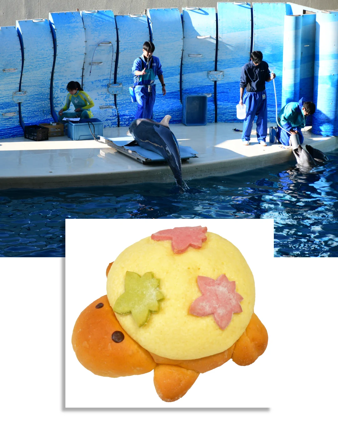 産直品 敬老の日 カタログギフト ハガキ2枚 白波 家電 月島もんじゃ