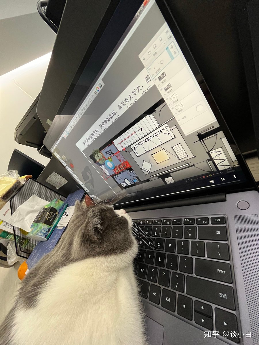anesx376896's tweet photo. The office clock ticks slower when you’re on your 5-minute "admin break" that’s actually just re-watching cat videos for the third time today. https://t.co/9kNis9XAKJ