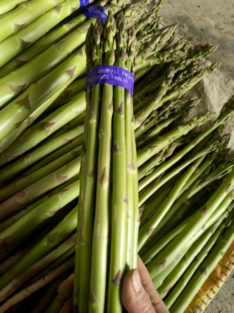 5robe6rtellieng's tweet photo. [Fresh seasonal asparagus u0026 cherry tomatoes just arrived at the market! Grab these crisp, sweet picks for your weekend salad or roasted veggie platter—perfect for easy, delicious meals. ]， https://t.co/AiC0UAGUUP
