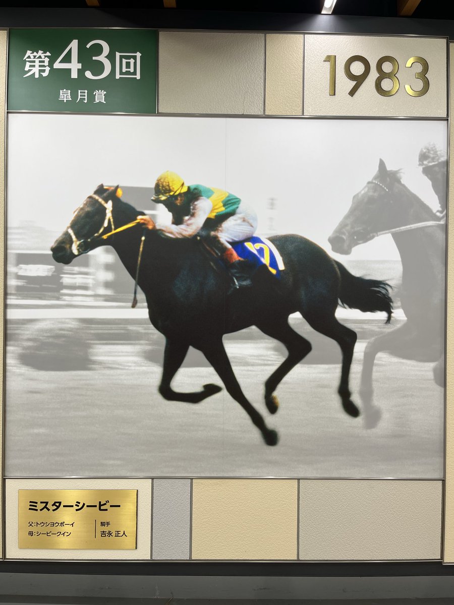Alisia_gb's tweet photo. 2万くらい負けたけど中山競馬場楽しかった https://t.co/KmFklGktK9