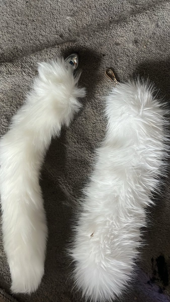 Kittycatmeow916's tweet photo. spot the difference 

#petplay #nsfwtwt #catgirl #buttplug https://t.co/Wwmxs6okeF