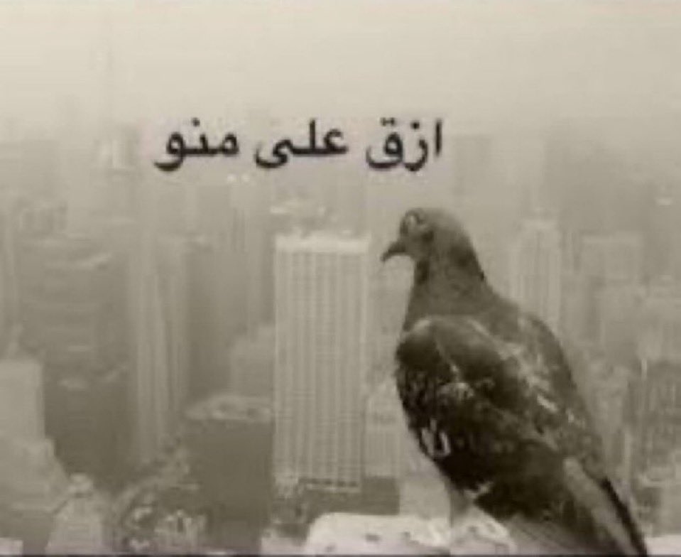 Kh001dz's tweet photo. اخلاقي اليوم https://t.co/4Q6TOUoCB8