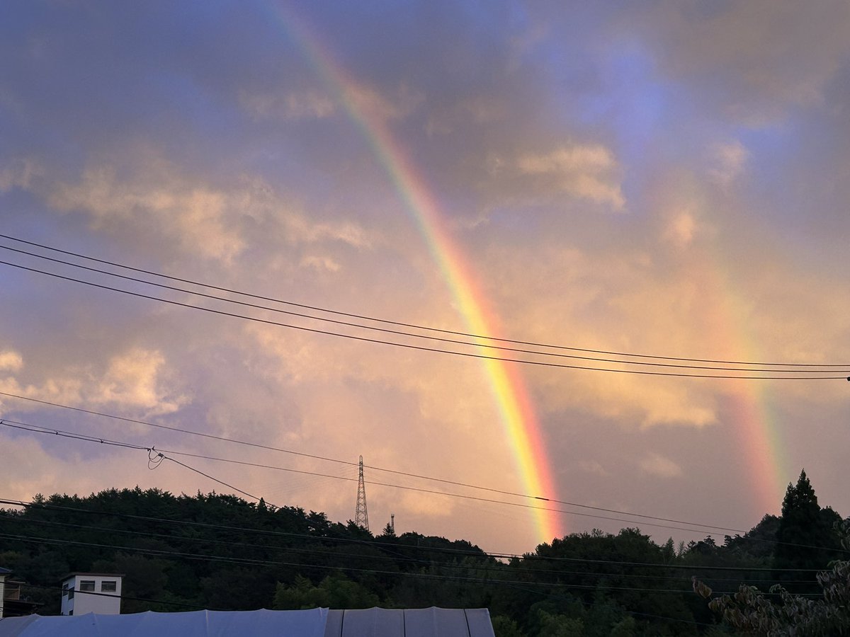 tkkentk64's tweet photo. 夕焼けのダブルレインボー
 #ダブルレインボー https://t.co/Frius75K98