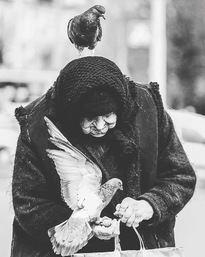 AdelAliBinAli's tweet photo. ٱن الله ٱذا ٱحب عبداً رزقه بلين القلب
اللهم لا تجعلنا من القاسية قلوبهم 💗 https://t.co/G0lsCkthid