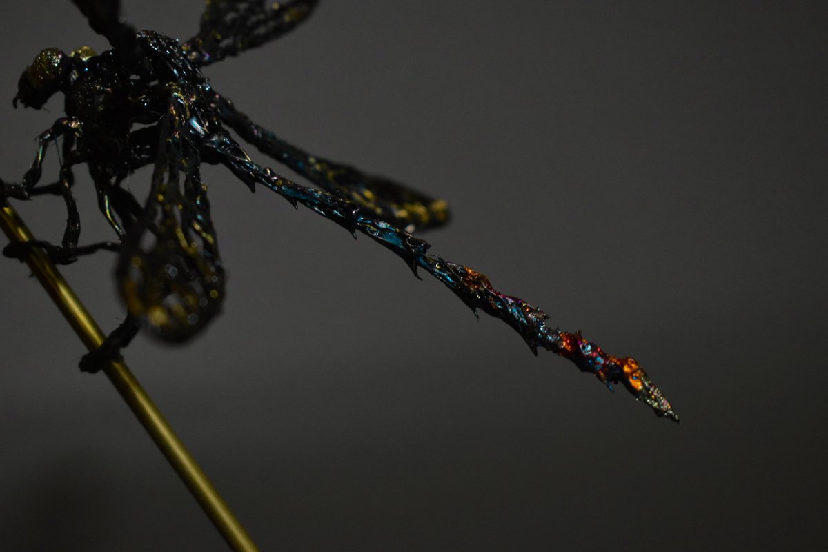 oleo_arts's tweet photo. グルーガンでハグロトンボを制作しました！

今回初めて金属箔を使用して着色してみました

#グルーガンアート https://t.co/CBS2M7HANW