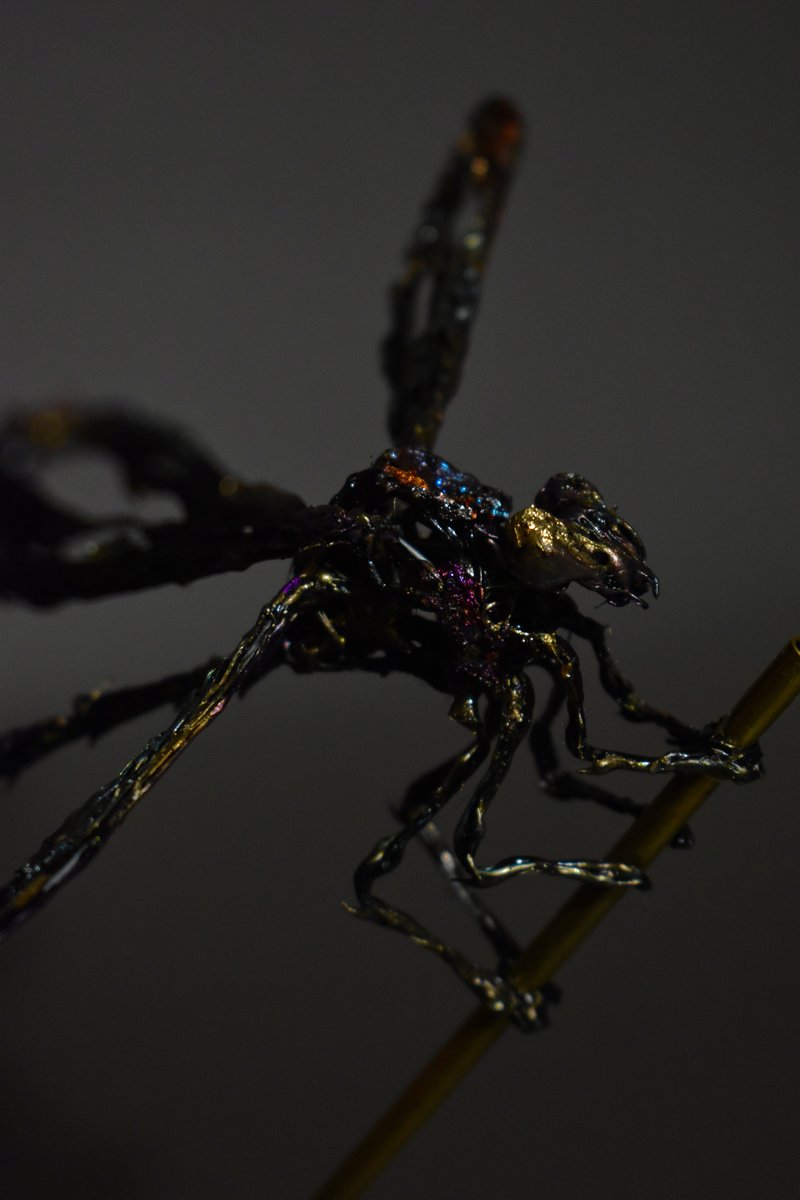 oleo_arts's tweet photo. グルーガンでハグロトンボを制作しました！

今回初めて金属箔を使用して着色してみました

#グルーガンアート https://t.co/CBS2M7HANW