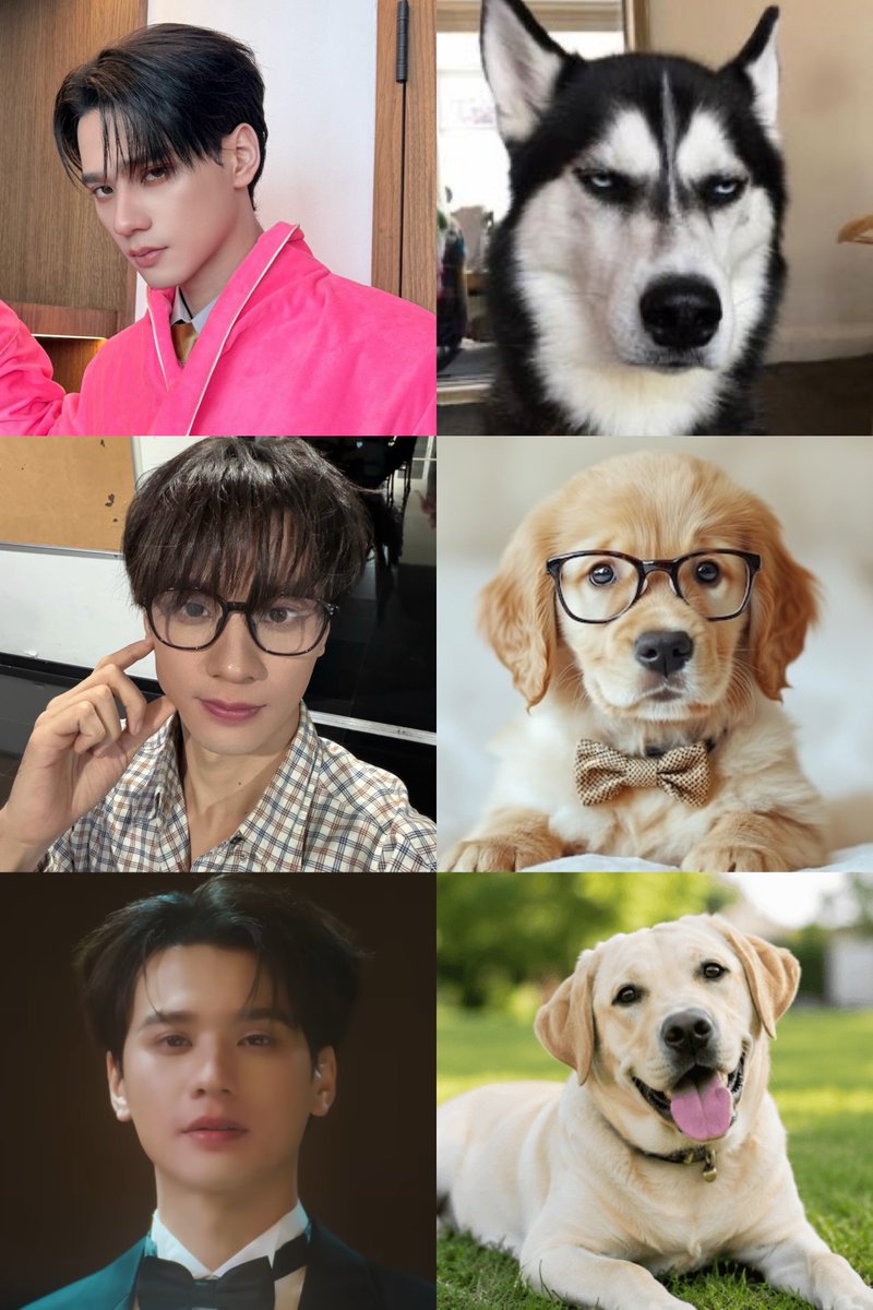 pukjin's tweet photo. เก่งหะริดเข้าวงการมา 2 ปี เล่นเป็นตัวละครไปแล้ว 6 บท ทุกบทต่างกันมากกกกก เป็นทุกสายพันธุ์(?)เลย 😌👌🏻 https://t.co/O5Yv9LnldX