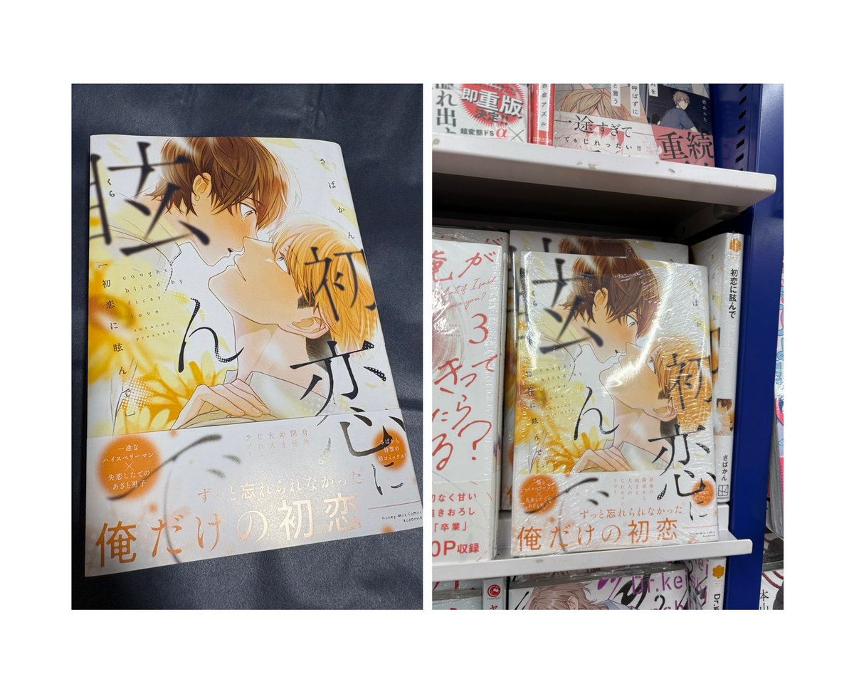 Sin1615766Sin's tweet photo. 昨日、お渡し会が終わり池袋のアニメイトに立ち寄り遂に買えたー🙌
オンラインでも帰るけど手に取って買いたいって思ってたから感無量😭
売り場も見れて最高✨
そしてさばかんさんの描く受けの上目遣いの絵が好きすぎて、ドキドキしながら鑑賞しました☺️

#さばかん 
#初恋に眩んで 
@sava_picacount https://t.co/5CFJvYlFu1