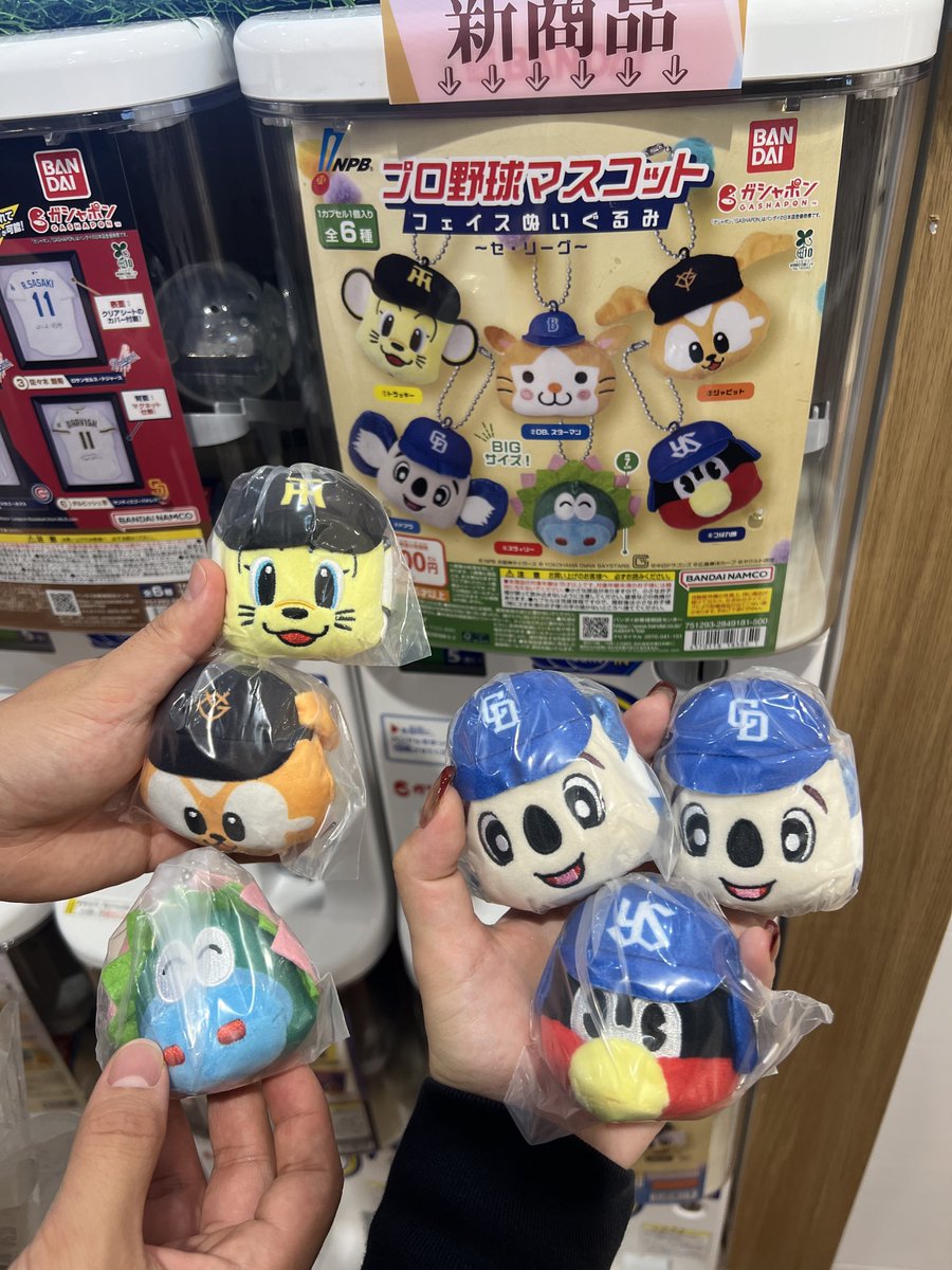 s_50_l's tweet photo. スターマンゼロでした😭 https://t.co/NChHB83Rs6