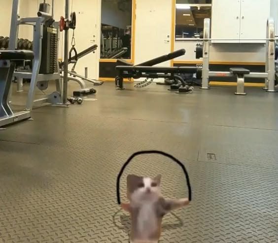yappenshire's tweet photo. me working out just so I can still eat my favorite snacks: https://t.co/kLm551RoCL