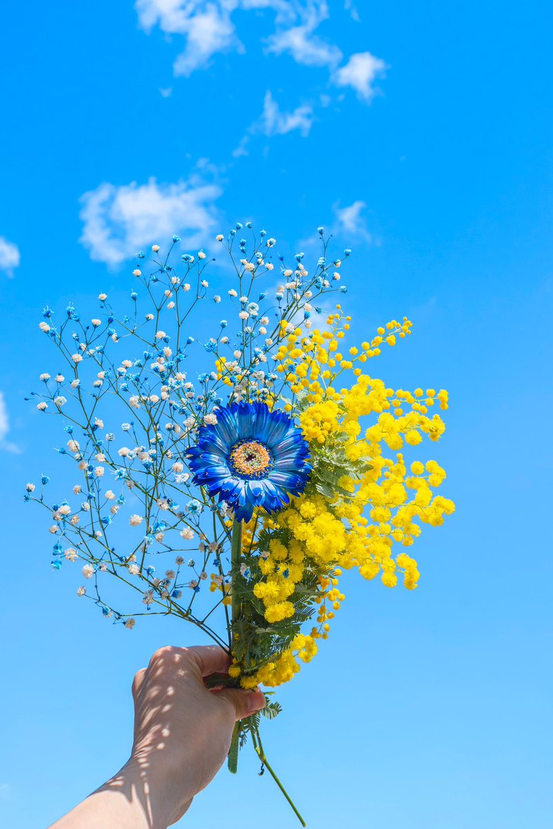 Noah_photobook's tweet photo. Flower. https://t.co/UD6WEk0uH7