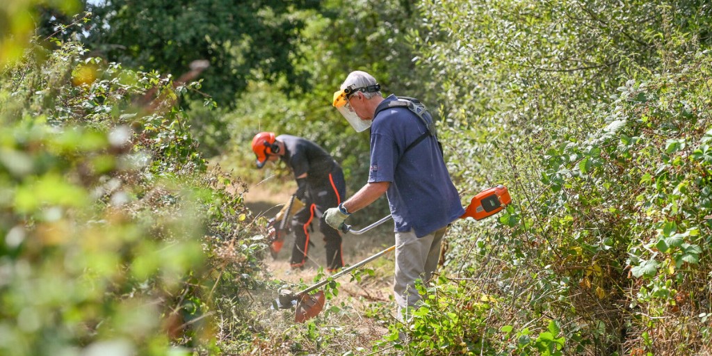 NewForestNPA's tweet photo. Volunteers are vital part of Team New Forest, helping care for the National Park’s important nature, communities, and heritage. 

They support the New Forest NPA and partners – including Hampshire County Council, Forestry England, the Countryside Education Trust, Flourish in Nature, and many many more – working together so the Forest thrives for wildlife and people.

From restoring heathland and SSSIs (Sites of Special Scientific Interest) to improving access in green spaces by repairing footpaths and managing vegetation, planting trees and hedges to supporting events like the Awakening festival, there’s an array of ways to get involved.

🔗 Follow the link below to discover volunteering in the New Forest:

https://t.co/LlfmYtID4H

New Routes to Nature – the initiative supporting volunteering in the New Forest – has been made possible with The National Lottery Heritage Fund, thanks to National Lottery players.

#BigVolunteerWeekend