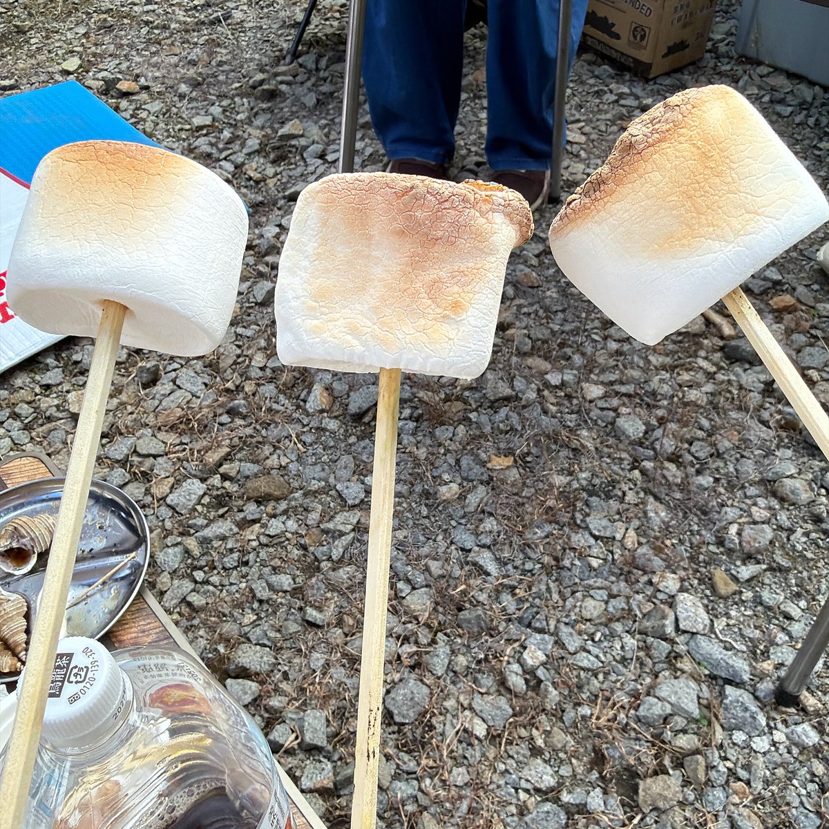 akari_mo's tweet photo. BBQ楽しかったね☺️ https://t.co/re4I2p0Rjb