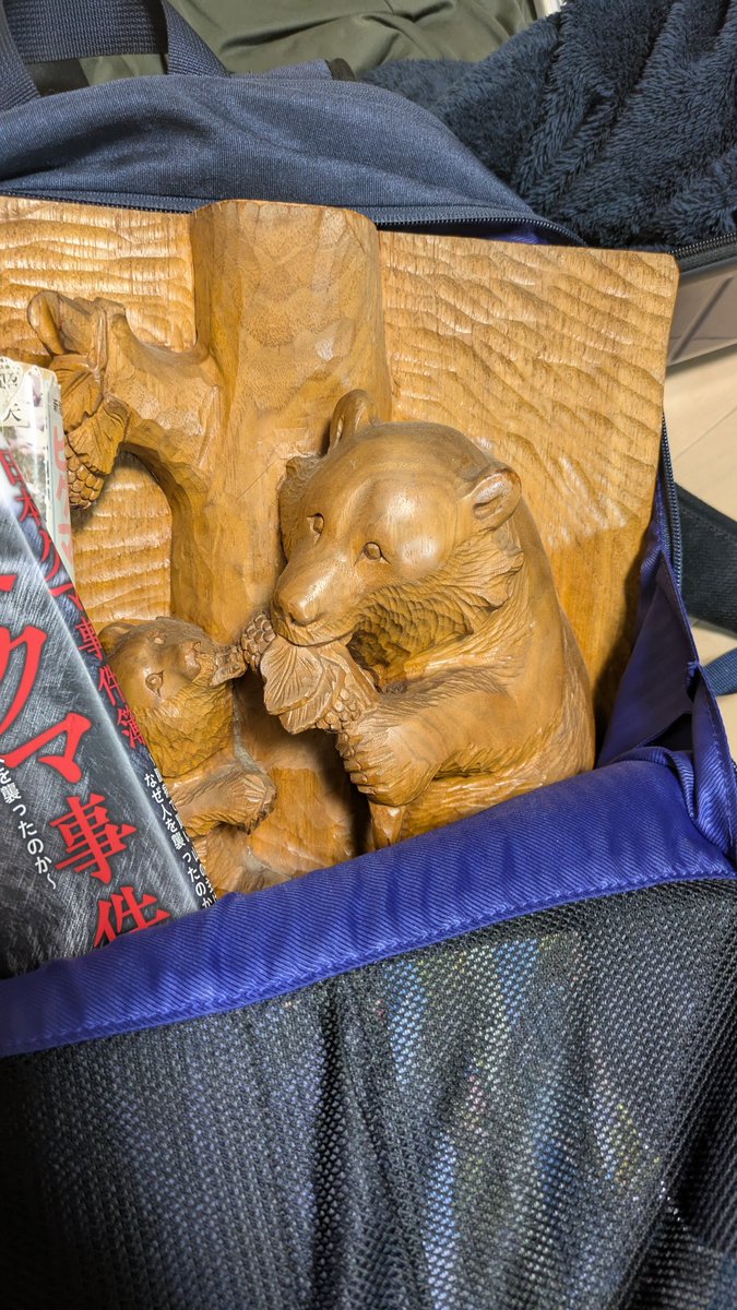 E_Kimoppe's tweet photo. これから飛行機🦊

いつも、キモッペは手荷物検査引っかかるのだけれど、検査官の人達はX線で見た際にキモッペがどんな人に映っているのだろう😂🐻

#くまの子ハニー #ニホンミツバチ #養蜂 #クマ #エタラカキモッペ https://t.co/RTZMIBOXEu