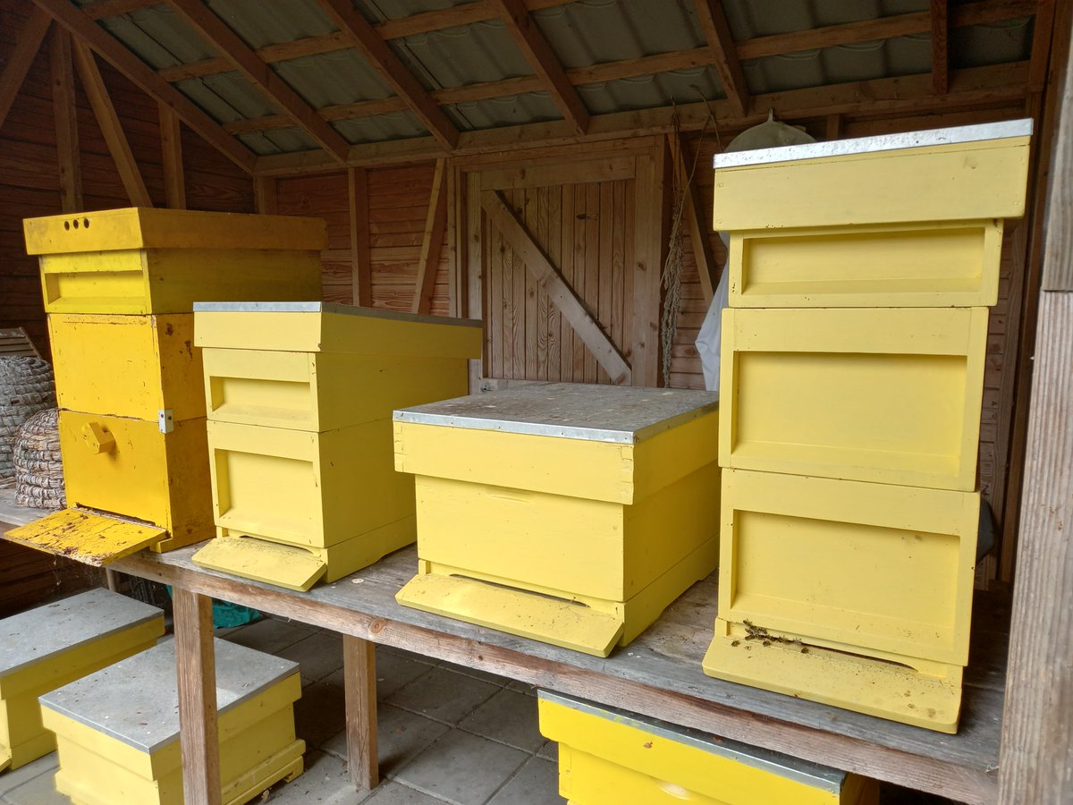 northfieldtree's tweet photo. #SundayYellow 
#bees https://t.co/hCwFYKnYgl
