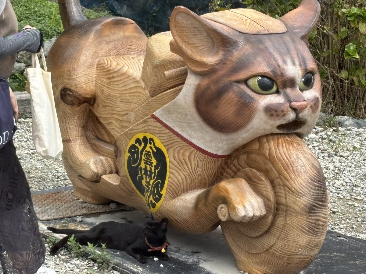 hg_w's tweet photo. 萩市 雲林寺。通称猫寺。想像以上に猫まみれ😼
駐車場に猫バイク,狛犬ならぬ狛猫,猫絵馬等々 https://t.co/qig5DKeMsJ