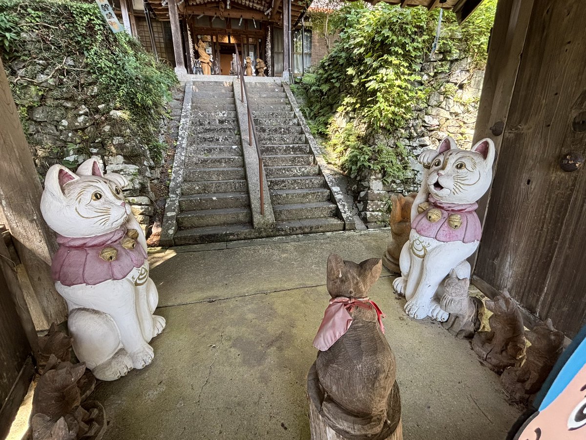 hg_w's tweet photo. 萩市 雲林寺。通称猫寺。想像以上に猫まみれ😼
駐車場に猫バイク,狛犬ならぬ狛猫,猫絵馬等々 https://t.co/qig5DKeMsJ
