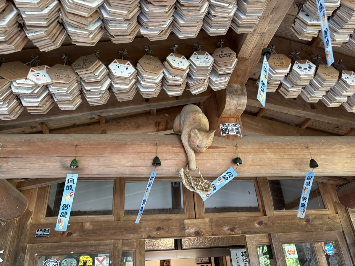 hg_w's tweet photo. 萩市 雲林寺。通称猫寺。想像以上に猫まみれ😼
駐車場に猫バイク,狛犬ならぬ狛猫,猫絵馬等々 https://t.co/qig5DKeMsJ