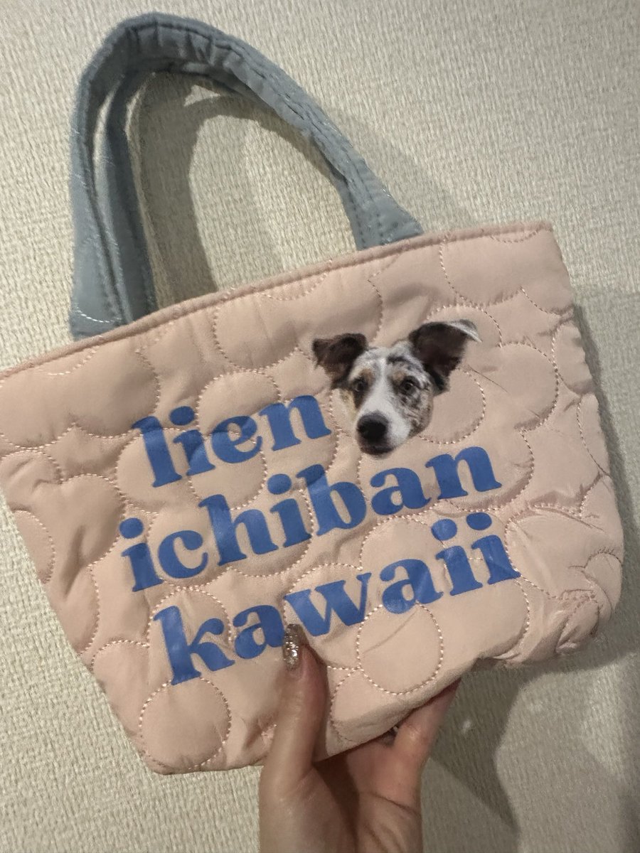 NEOneo0220's tweet photo. 可愛いバックを作ったよ🐶🩶 https://t.co/LhxFyn05JQ