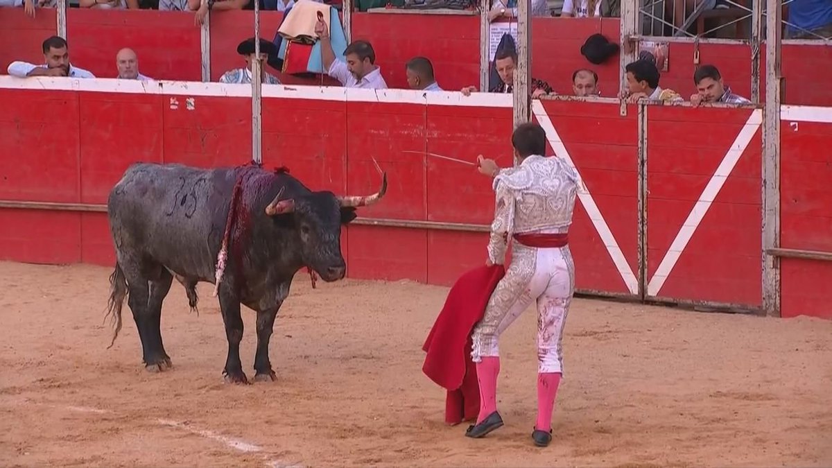 blvcom's tweet photo. 🐂 TOROS desde RIAZA en @telemadrid obtuvo 168.000 ESPECTADORES ÚNICOS (AA).

➡️ El programa registró 61.000 espectadores de media y un 7,4% de cuota de pantalla.

#TorosEnTelemadrid

#Audiencias📺📊 https://t.co/CuN1U7cddw