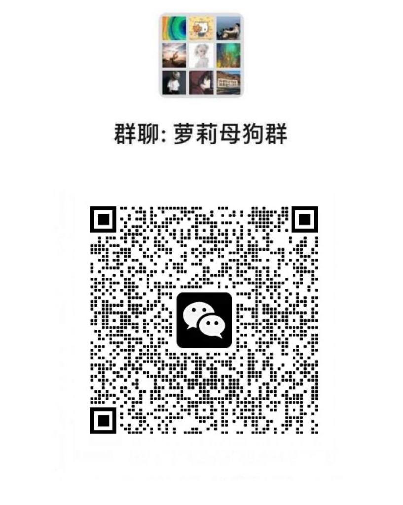 Vero1275922's tweet photo. 我坐在自习室的角落，裙子下面什么都没穿，大腿内侧已经滑滑湿湿的了。胸部在衣服里胀胀的……哈…啊……嗯……脑子里全是那些坏坏做爱的幻想，身体好热……我好像在发骚呜…呜 #妓女 #手淫 #意淫 #欠操 #大奶 #母猪 #bbw #叫床 #野爹 #贱狗 #妓子 #女高 #名媛 #牛牛 #粉逼 #榨精 #寸止1 https://t.co/K8OAsBlYg6