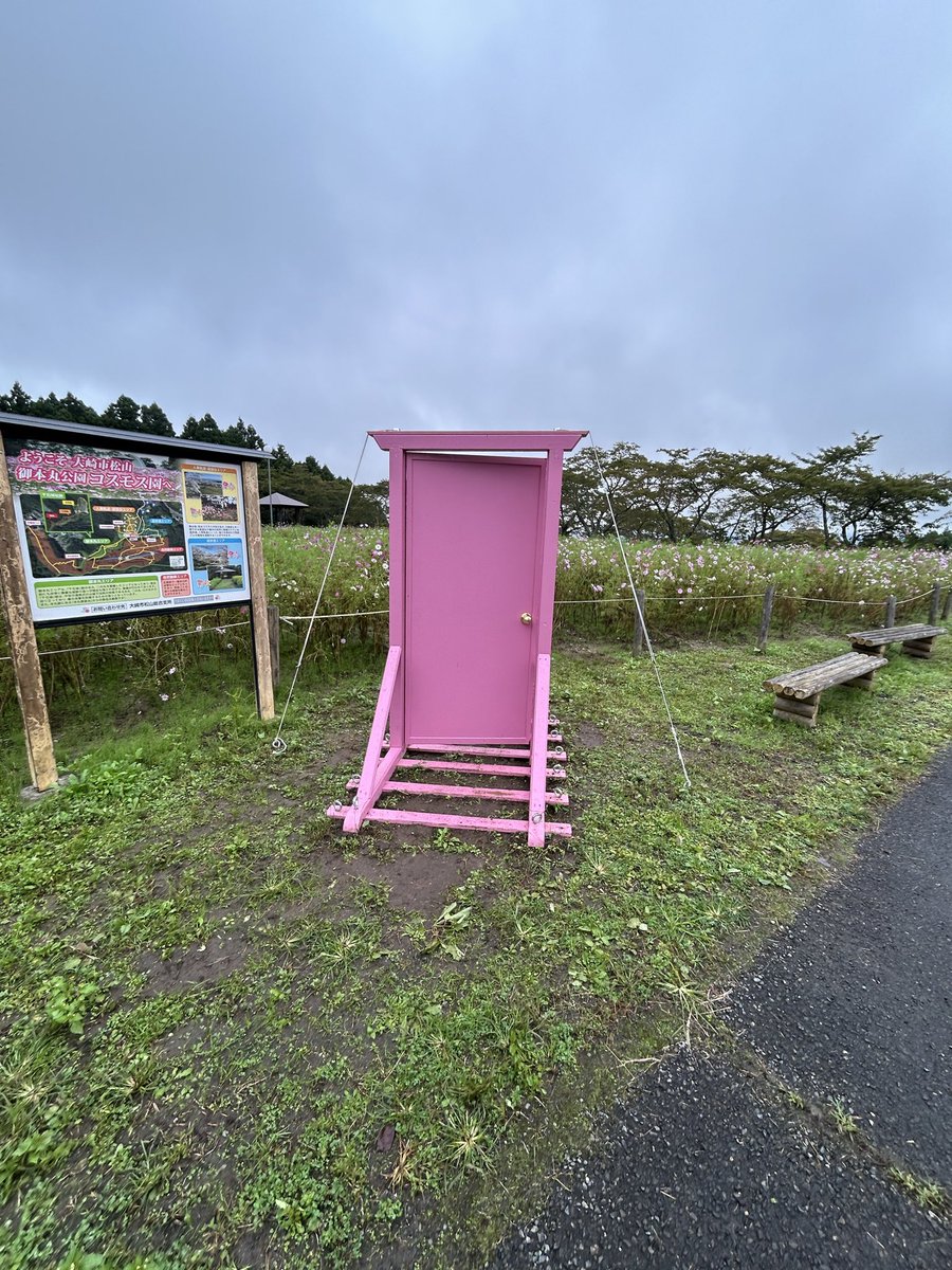 osakicity's tweet photo. 雨の降る前に、松山のコスモスへ。
一面のコスモスに、ほっと和みます🌸 https://t.co/opfjxAYJ9j