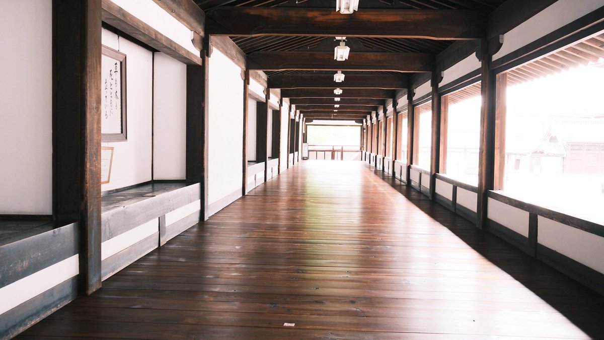 sumi1118e's tweet photo. 京都研修おつかれさまでした。現地でお話させていただいた皆様ありがとうございました😁
研修後、カメラ初心者マークですが1人で探索堪能してきました。 https://t.co/p0R9odW5xM