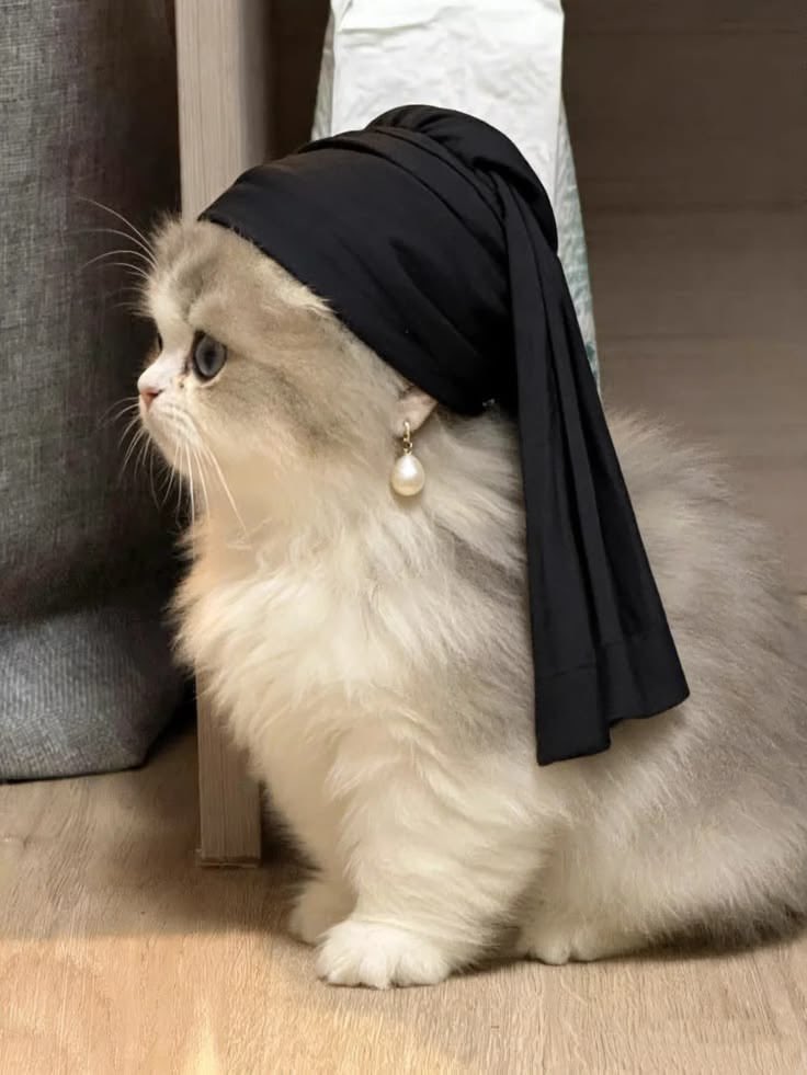_greywithin's tweet photo. first in my bloodline to see a cat with pearl earring https://t.co/oDLATuAkXC