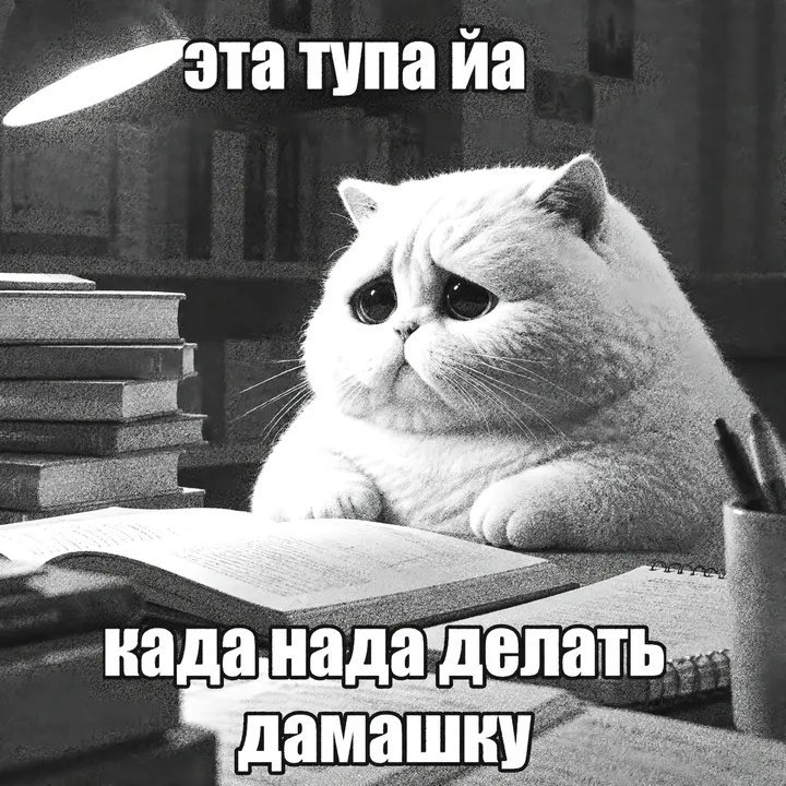 nya_epta's tweet photo. тупая офтальмология как же я тебя не хочу учить сука https://t.co/MdJDdSDnOt