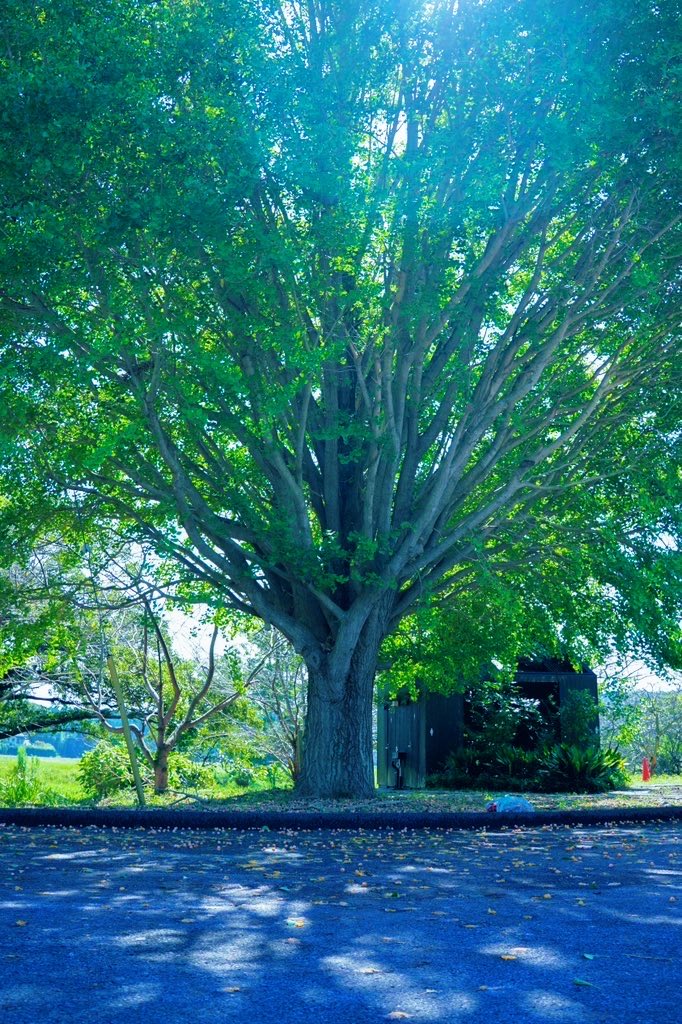 shima_photrip's tweet photo. もう、秋の空気 𓂃◌𓈒𓐍 https://t.co/KDoSyj21mF