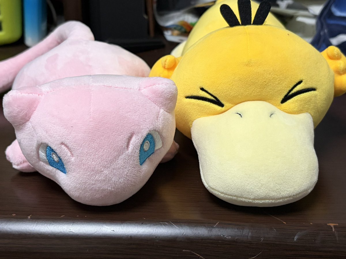 yellowheadache's tweet photo. かわいい https://t.co/CaouxHIS42