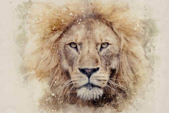 annielcrawford's tweet photo. C.S. Lewis explicitly said that Aslan was not an analogy or allegory or symbol but a "supposal". 

Suppose the Second Person of the Trinity were incarnate in a different world? What would that story be like. 

This is crucial - Aslan is to be treated as an imaginative supposal of Christ. He isn't just a character in a story.

Of course Narnia is not a sacred text, but Aslan is a sacred idea and ought to be treated as such.