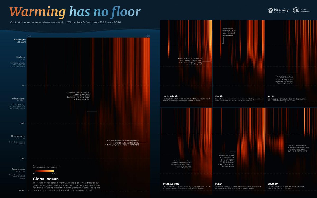 CMEMS_EU's tweet photo. #OceanWarming doesn’t stop at the surface. It can be felt up to 2000 metres deep.
This graphic by Mandy Spaltman reveals the changes our ocean battles beneath the surface, from 1993 up to 2024, using #OceanData from #CopernicusMarine.
🔗Interactive version: https://t.co/PQ4OIwPYJT
📷This graphic was submitted to the 2026 #DataViz challenge for the #OSR10 report.