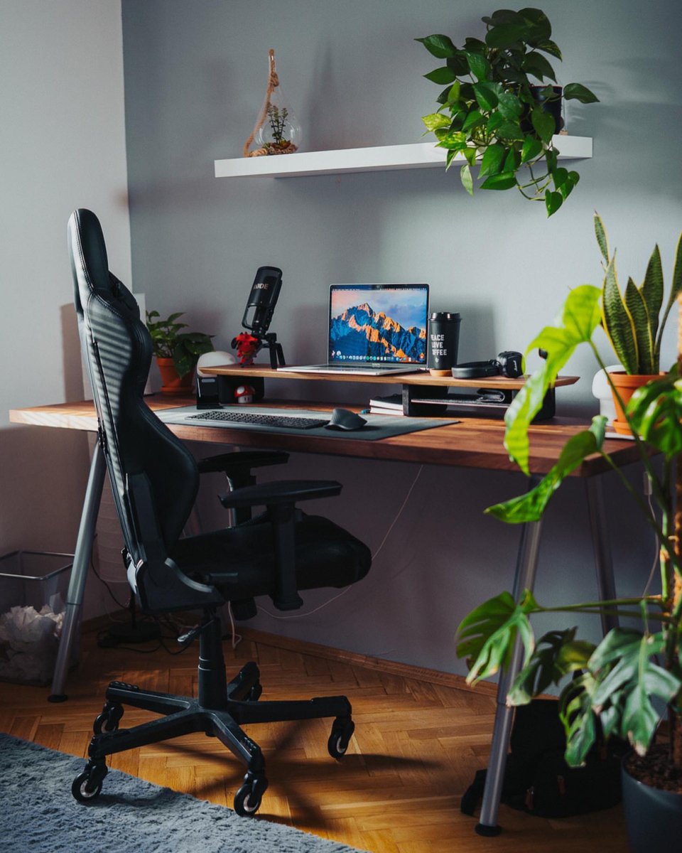 k1e6nnethamelia's tweet photo. My cozy morning work spot: A small desk with a potted succulent, a wireless keyboard, and a cup of warm coffee—simple, clutter-free, and so productive. https://t.co/AiTxqtHxVP