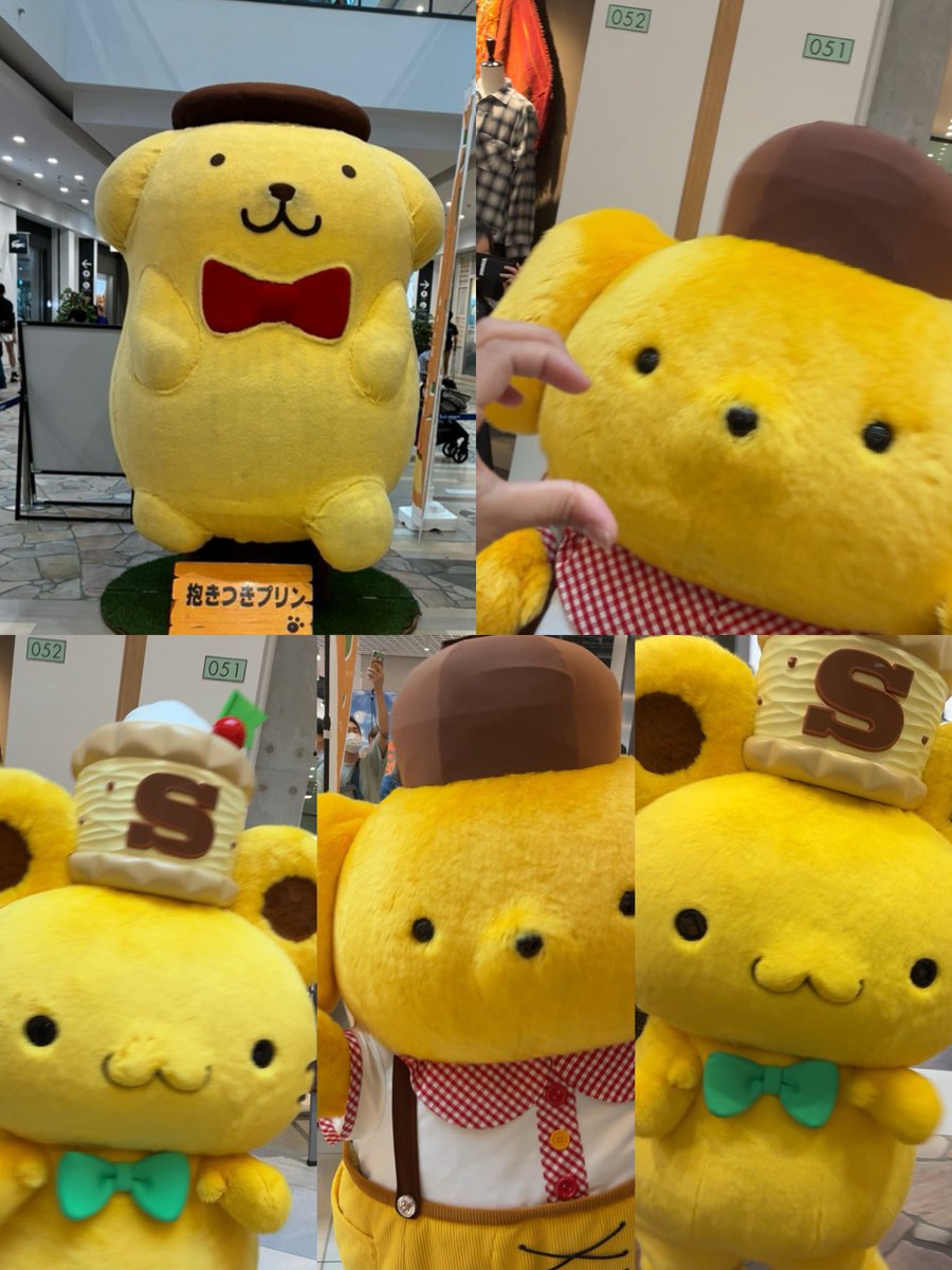 mwchmd's tweet photo. 2026.9.16
ららぽーと横浜
ポムポムプリン&amp;ベーグルのお散歩

#ポムポムプリン #ベーグル #ポムっとひと息 https://t.co/oWph57yeVD
