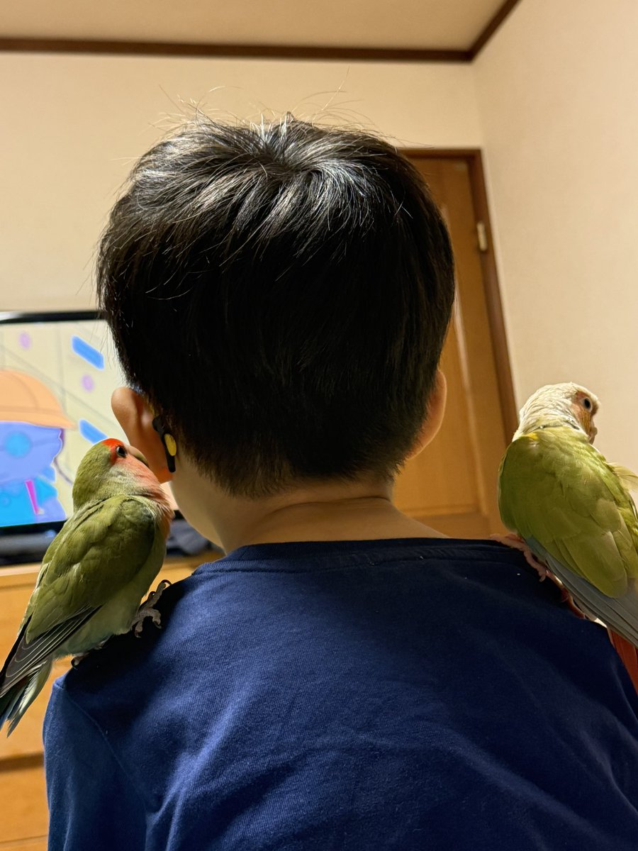 naopoohooooo's tweet photo. ちびまる子見てる📺 https://t.co/tZCVaJykE9