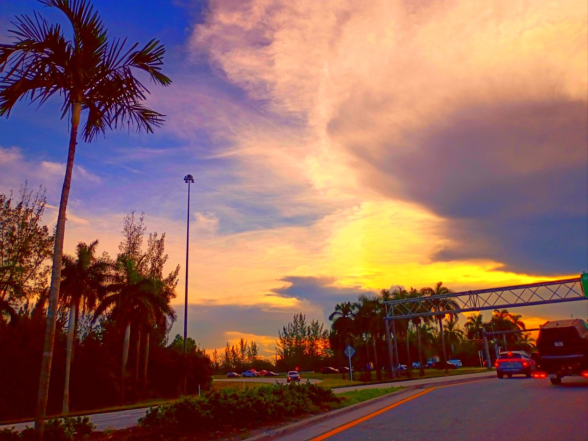 JorgeGNYCMIA's tweet photo. @JorgeG179 #Miami #Sky #Sunshine #Palmtrees #photo #photodaily #phototoday #photoofthedaye #photogram #photograph #photographer #photography #photooftheweek #photos #photosession #photoshot #photostudio #skyphotography #sunrays #sunflares #lensflare #SunshineMorning https://t.co/3WODIL6nDs