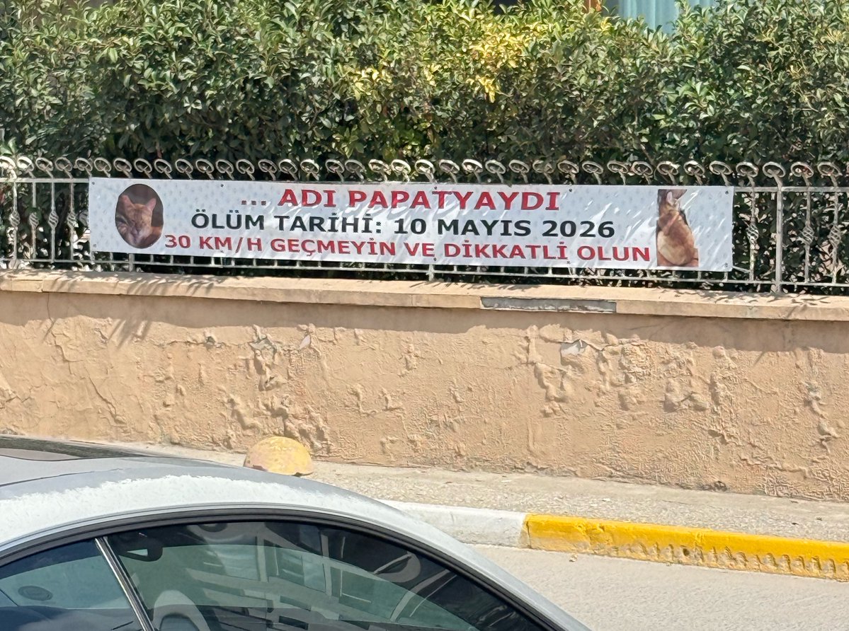 ffudarymlet's tweet photo. Adı papatyaydı #CanlarınHesabıSorulsun https://t.co/ao1A2CCrBX