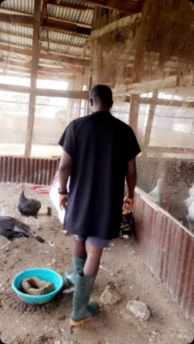 AjiAgroWea7w7q's tweet photo. Work don't stop at Aji AgroWealth LTD 📈 

#Agriculture #Farming #Livestock
#AnimalFarm #Cattle #DairyFarming #Poultry #SheepFarming #FHC #SustainableAgriculture #farmer #OrganicFarming #Ranching #nature #AnimalHusbandry #AnimalFarm #MegaFarm #AjiAgrowealth
#LivestockFarming https://t.co/Is92TM782t