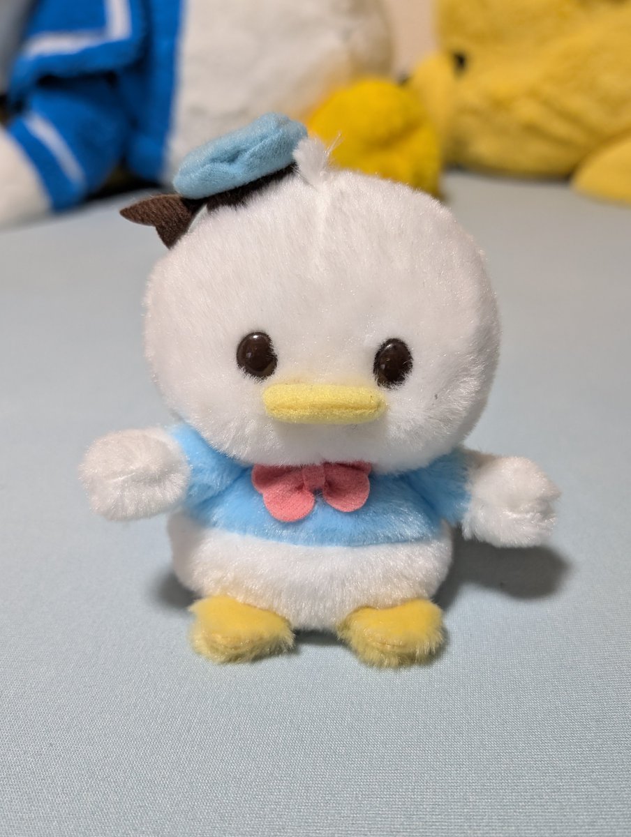 Pepper_0823's tweet photo. うるぽちゃドナにマレフィセントのユニベアコスチューム着せたけど、思った以上に似合ってた。 https://t.co/3M2w8bgx7F
